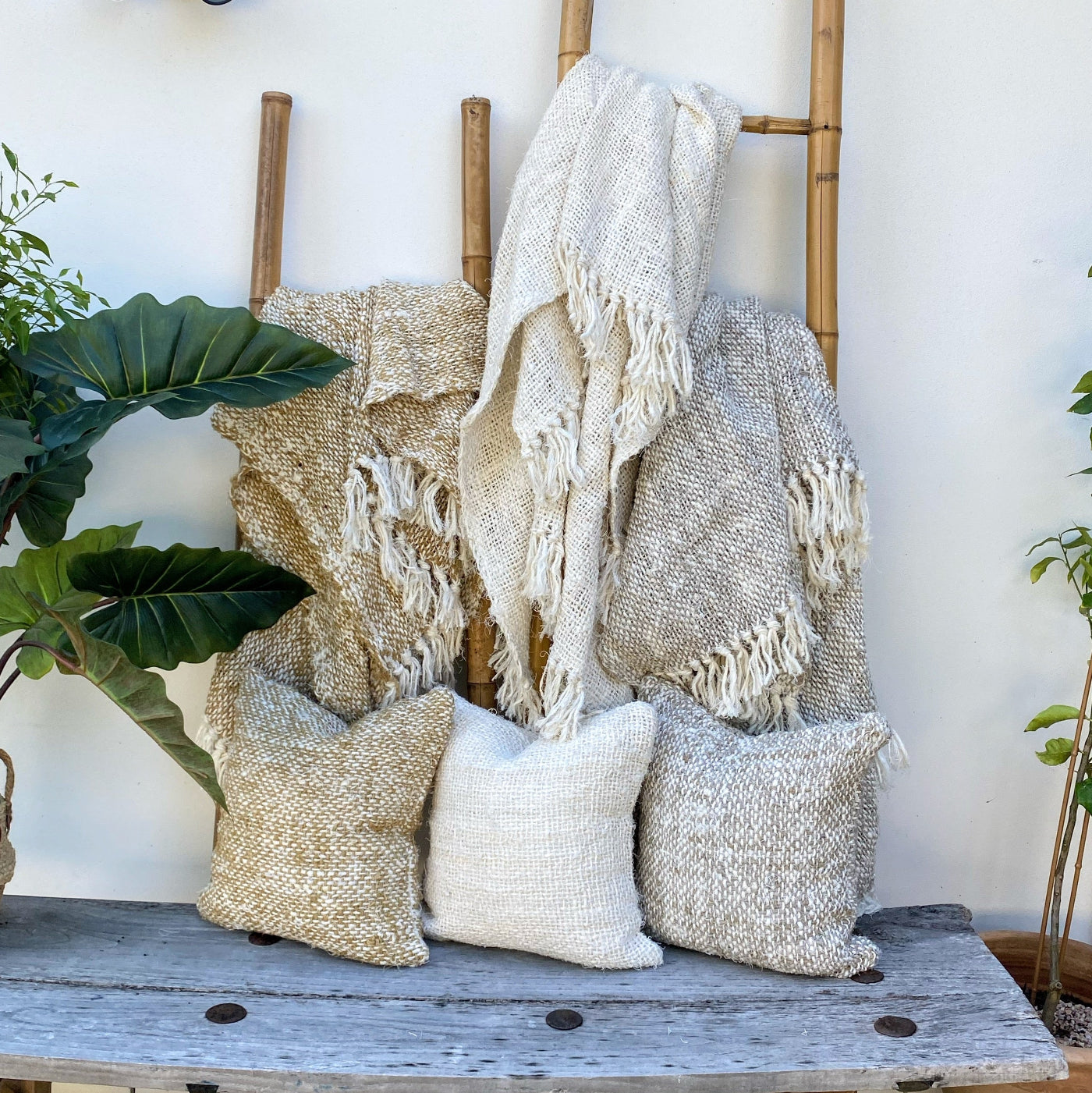 45cm Large Fringed Cushion with Elegant Design