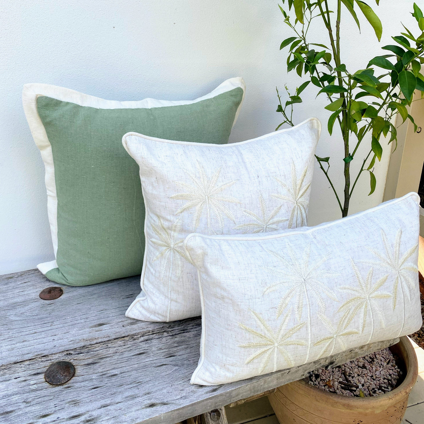 Add a Tropical Touch to Your Decor with Designer Cushion Set