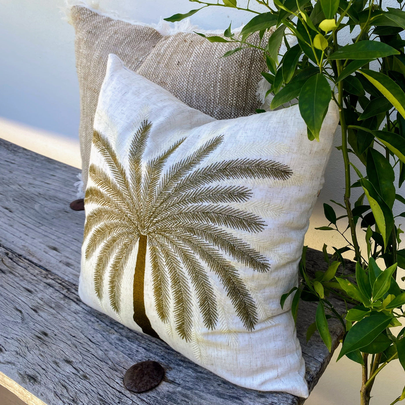 Buy High Quality and Durable Tropical Cushions Online