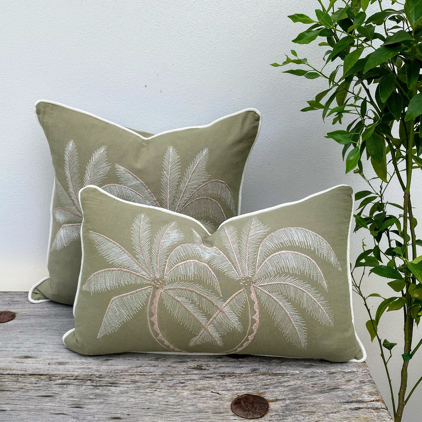 Buy Luxury Designer Cushions Australia
