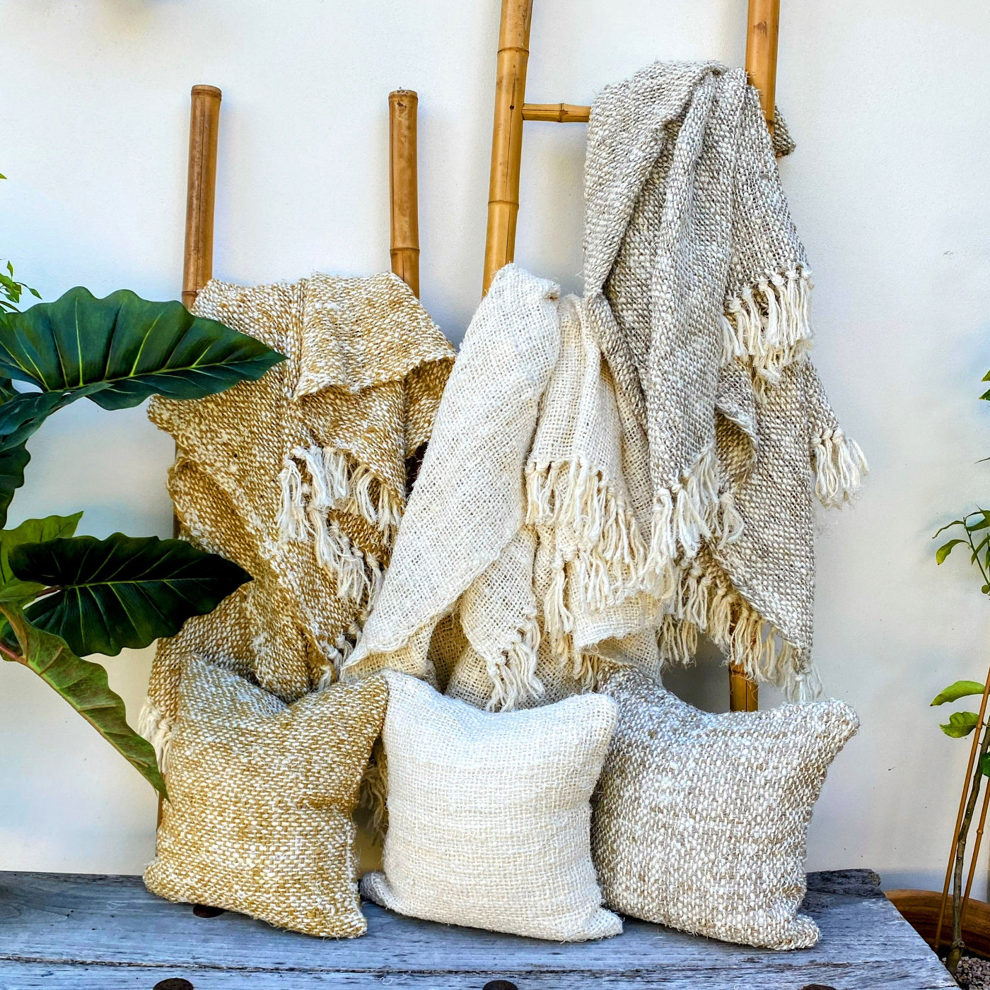 Buy Premium Quality Throw Blankets Online