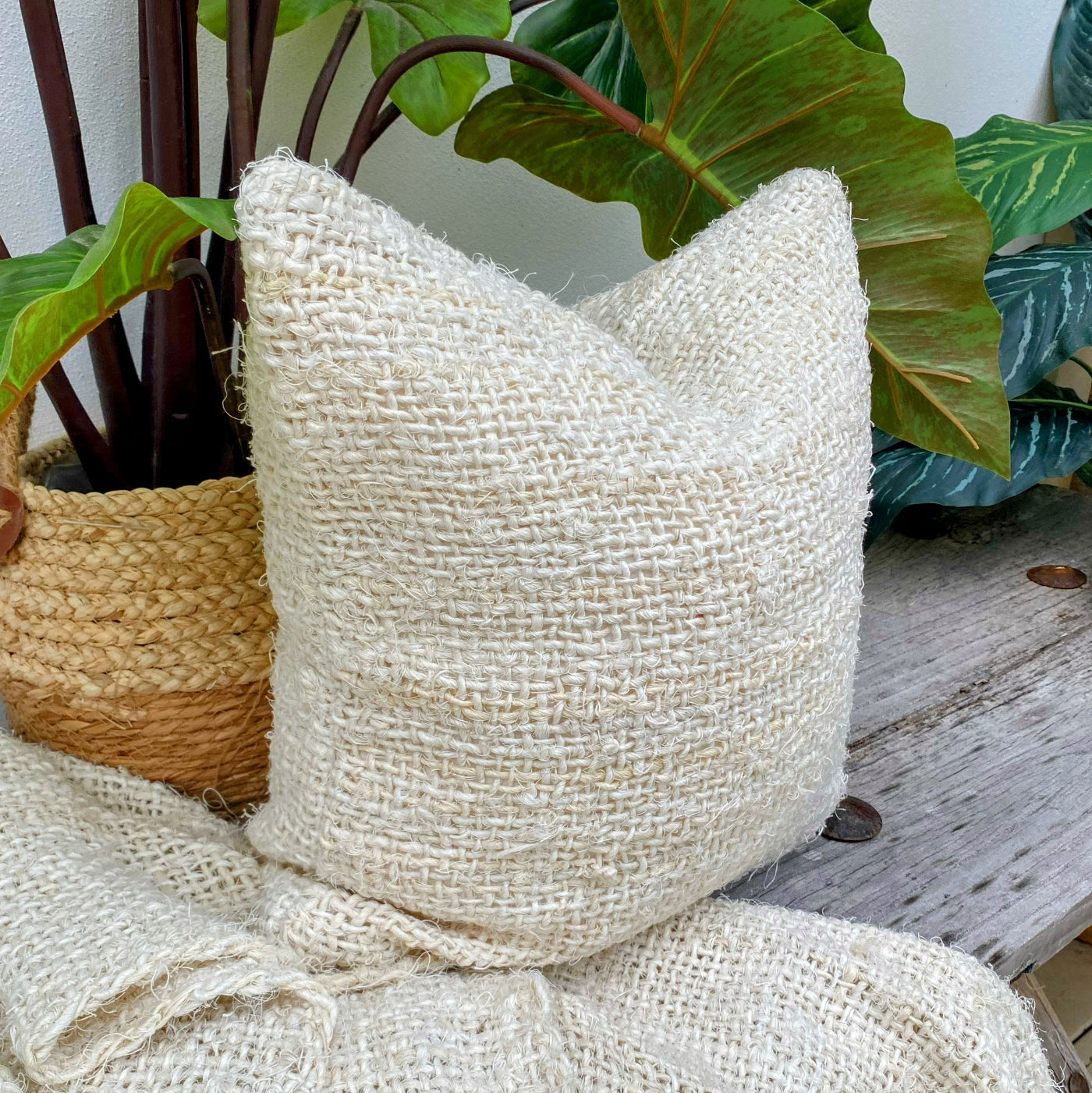 Find Beautiful Ivory Cushions at Best Price Online