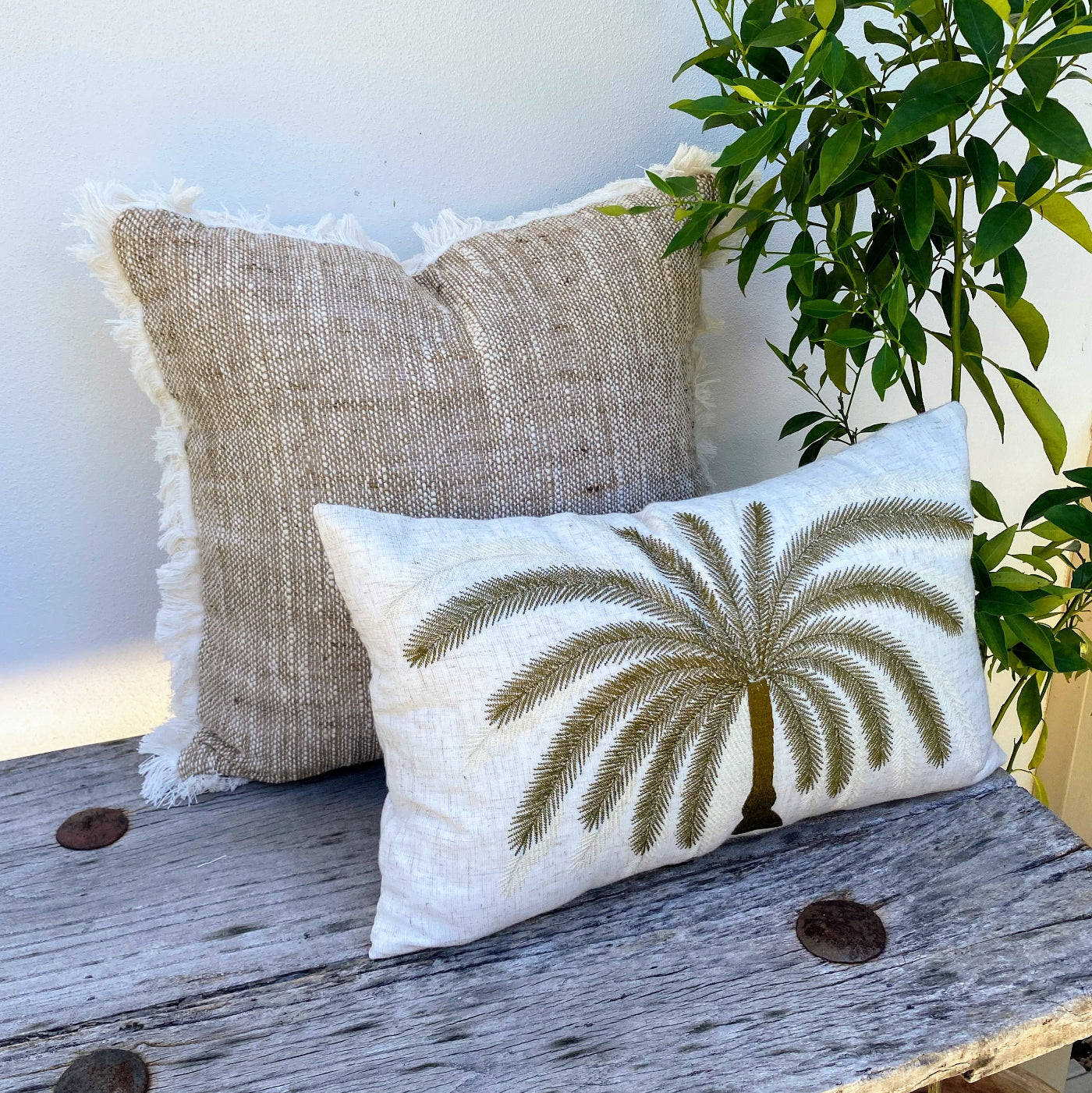 Palm Cushion Set, Get Fast Shipping with Easy Return