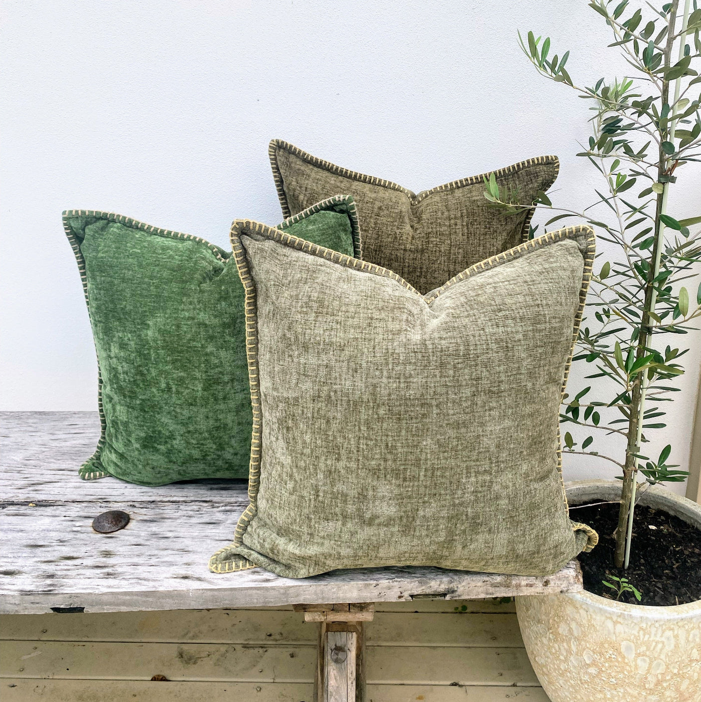 Premium Cushion with Subtle Contrasting Edging