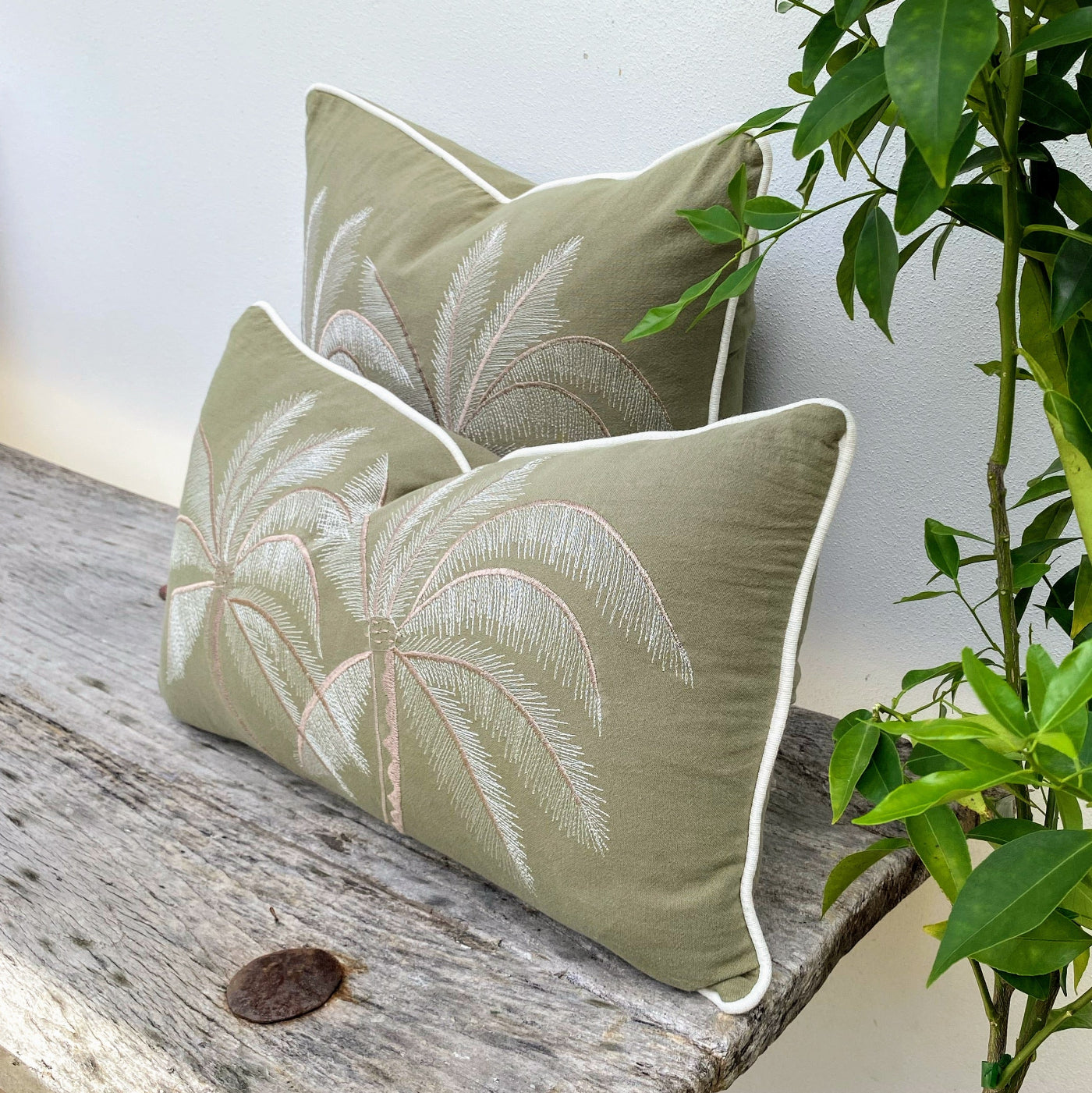 Premium Quality Bedroom Cushion at Best Price