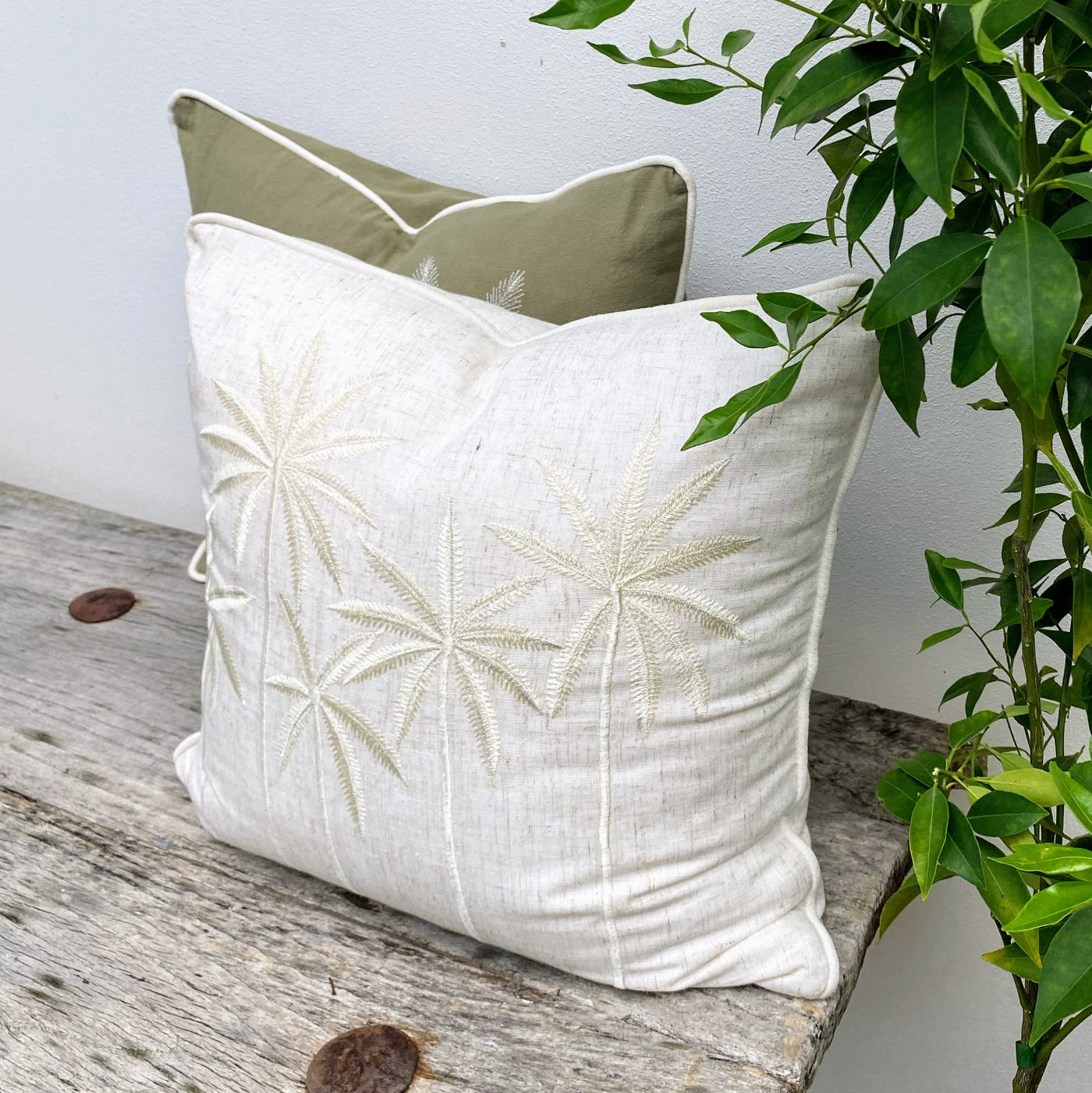 Square Cushion Online, Get Affordable Prices