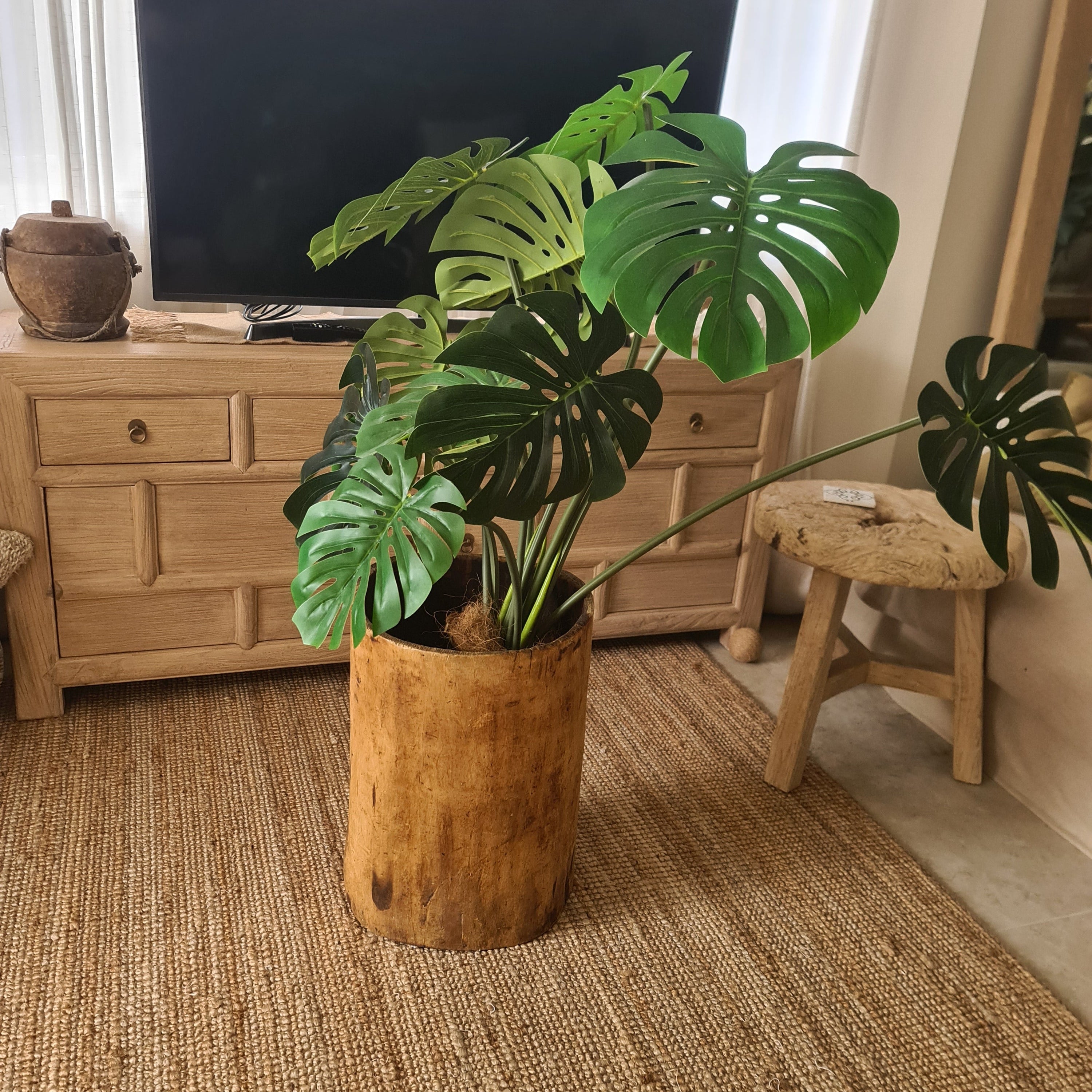 Giant Antique Naga Wood Planter/  Wabi-Sabi Vessel