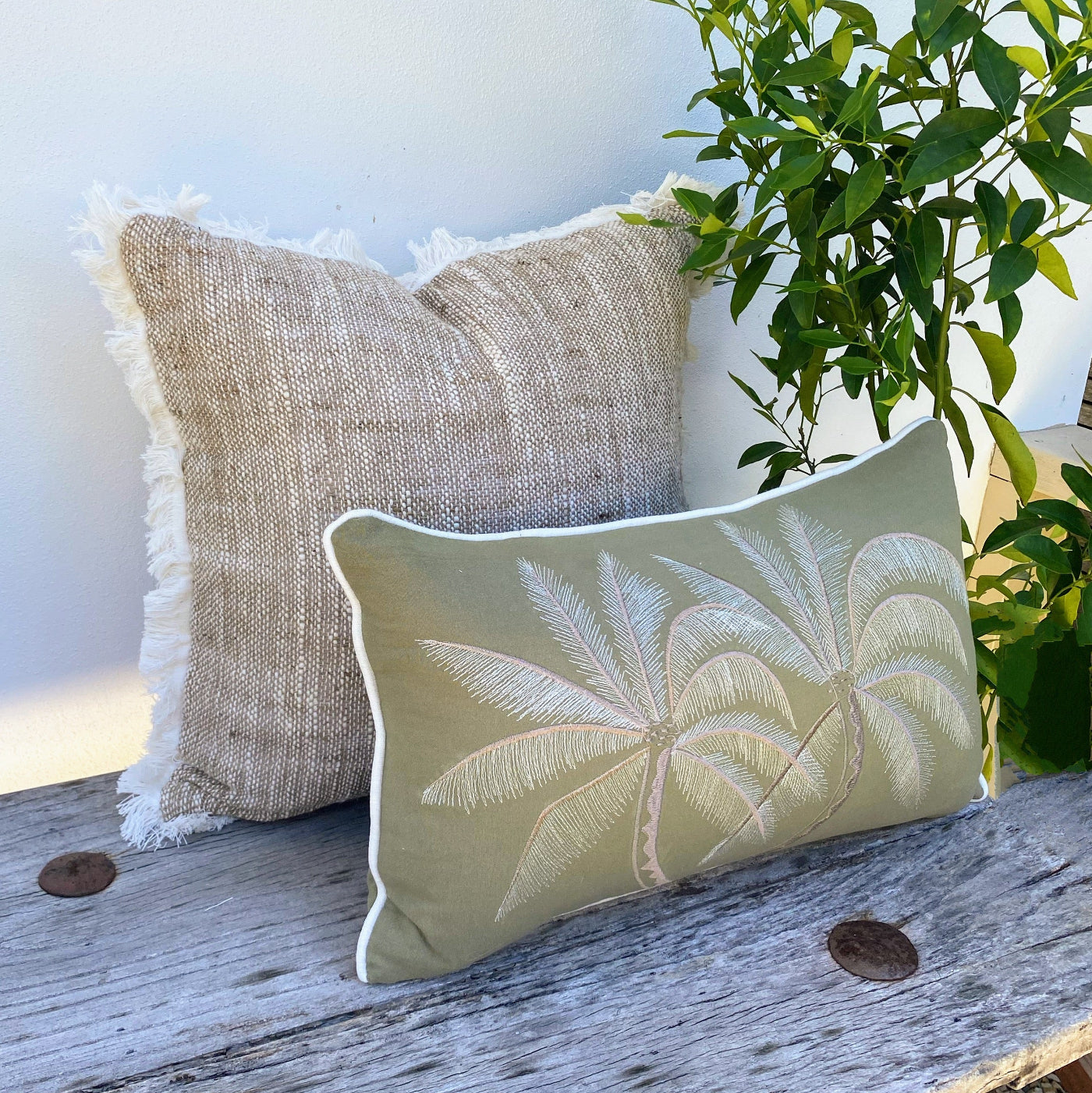 Decorative Cushion Set Online at Revived Artisan