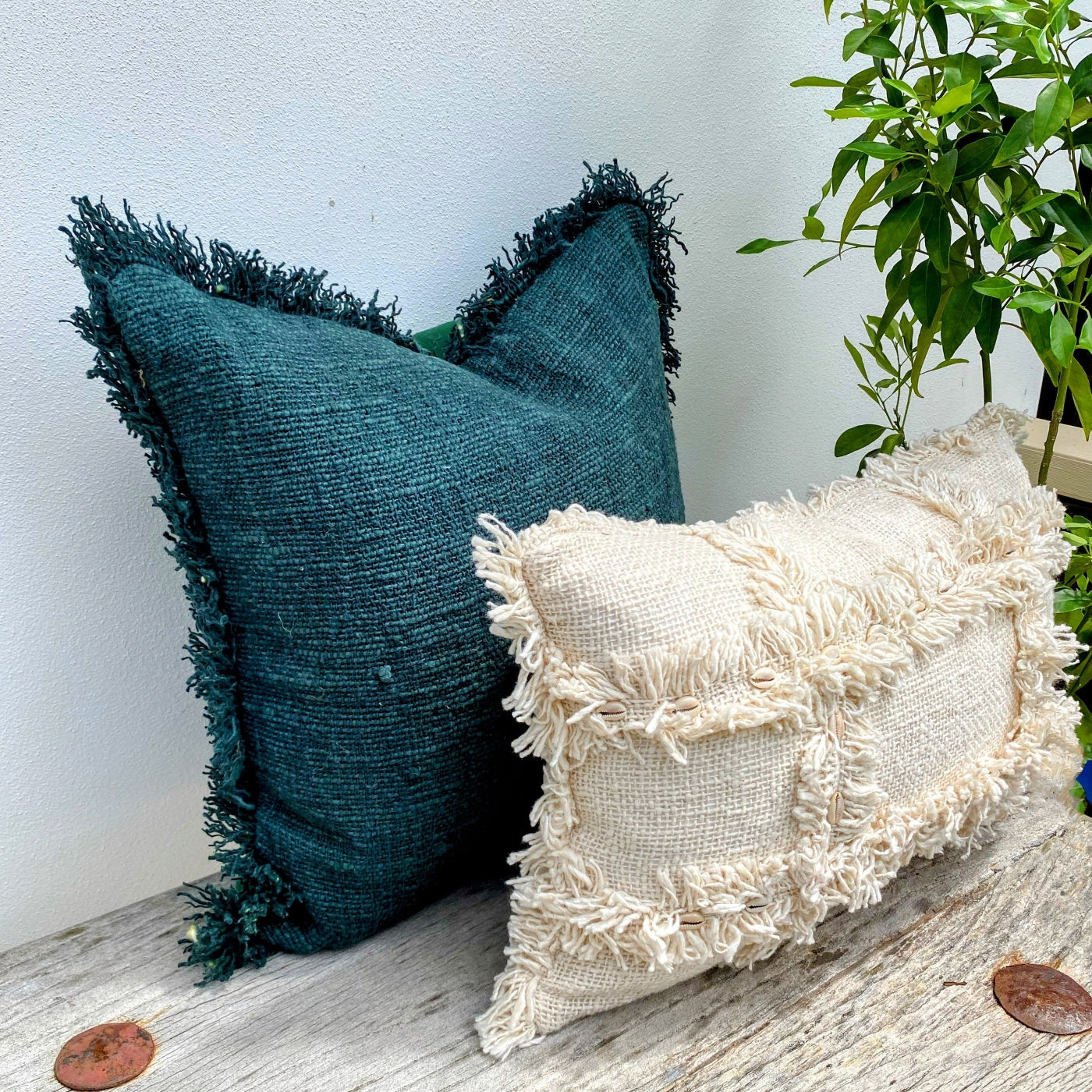Set of Green and Beige Cowrie Shells Cushion Covers