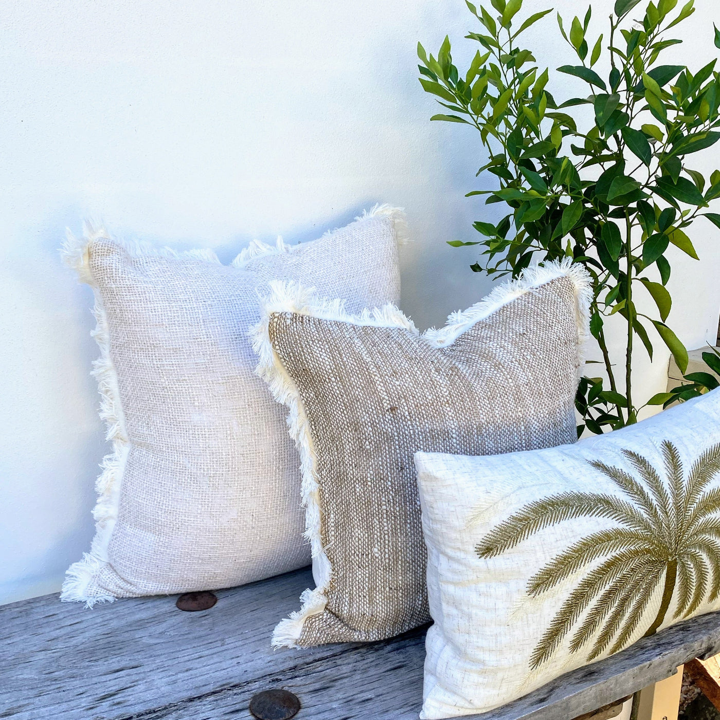 Soft and Durable Set of Three Palm Cushion Cover